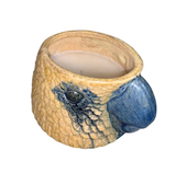 Parrot Candle