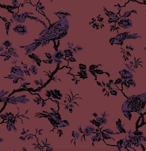 "Oiseau Toile"
