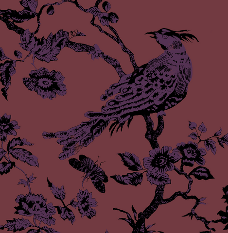 "Oiseau Toile"