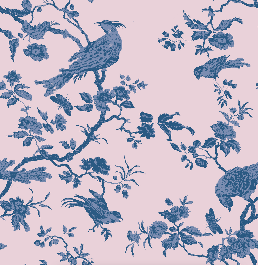 "Oiseau Toile"