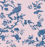 "Oiseau Toile"