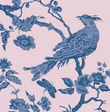 "Oiseau Toile"