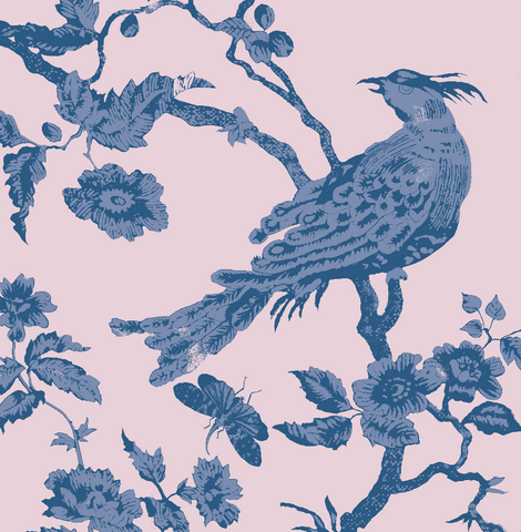 "Oiseau Toile"