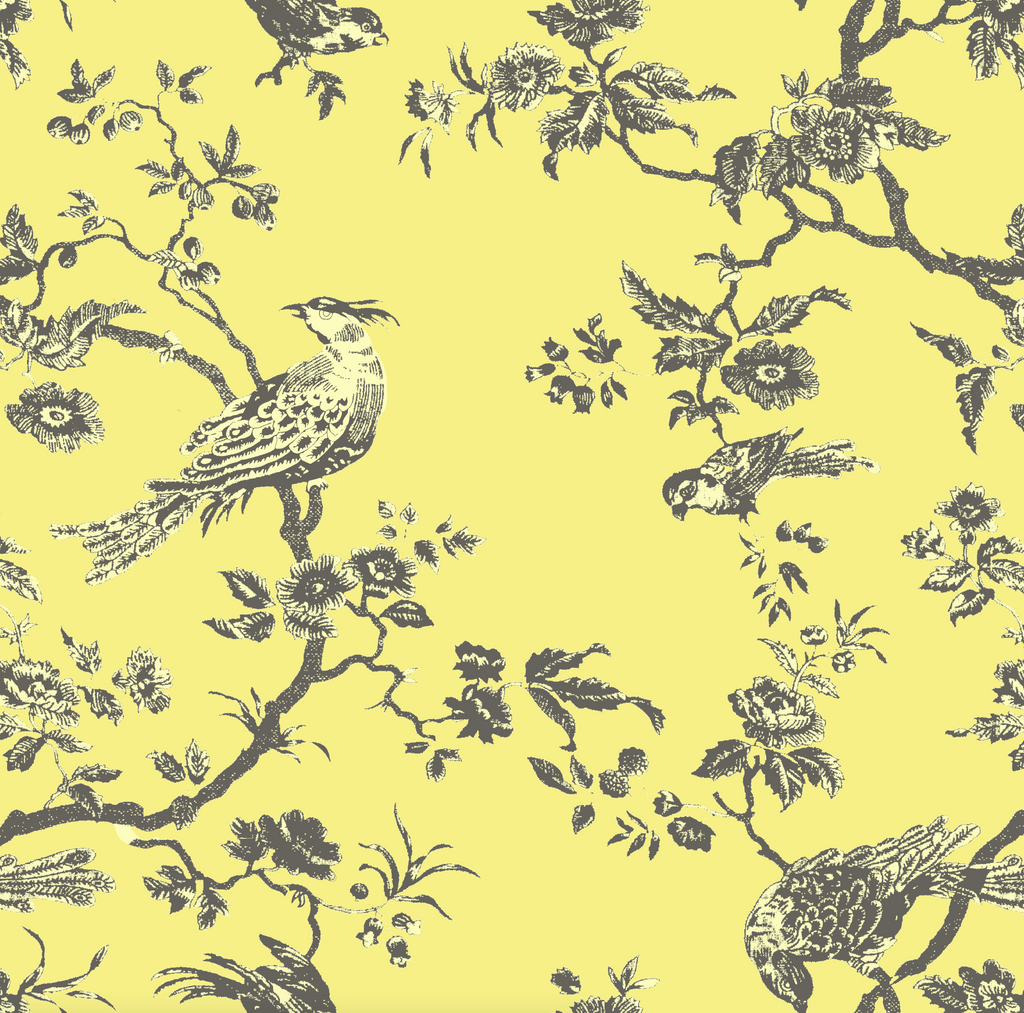 "Oiseau Toile"