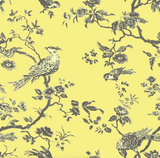 "Oiseau Toile"