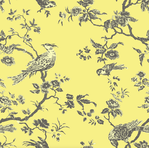 "Oiseau Toile"