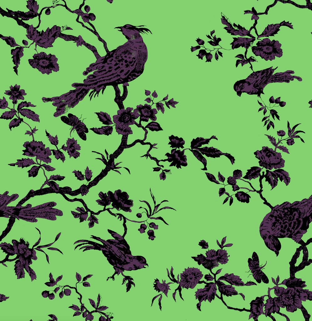 "Oiseau Toile"