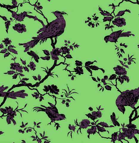 "Oiseau Toile"