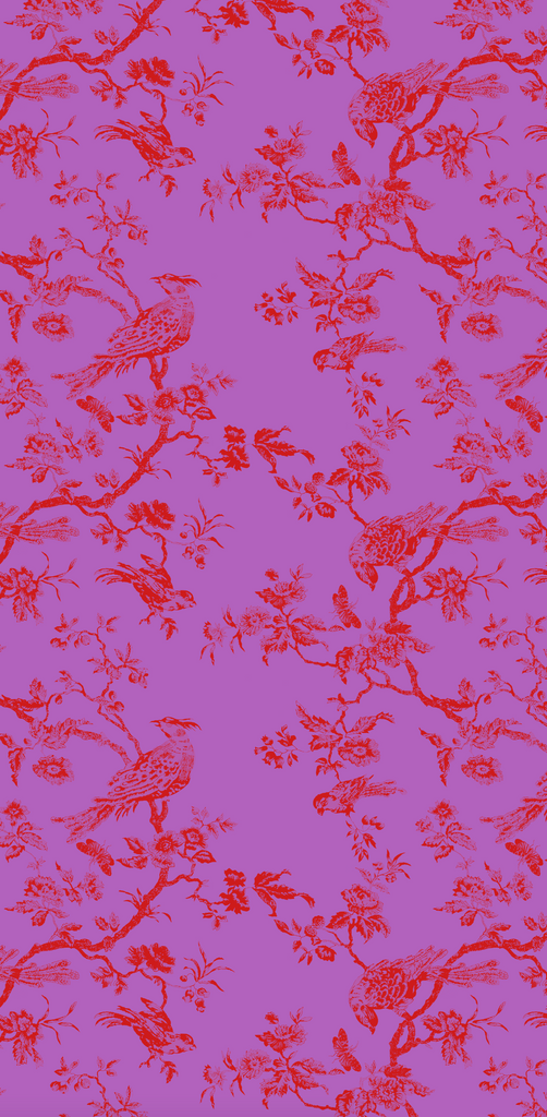 "Oiseau Toile"