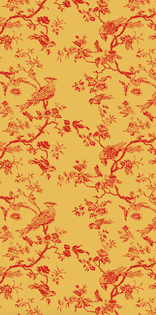"Oiseau Toile"