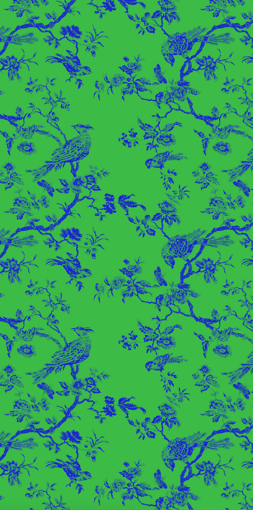 "Oiseau Toile"