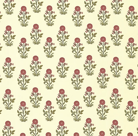 Michelle Nussbaumer: SM Champa Nalini (Multiple Colors)