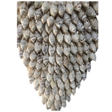 Ceremonial Shell Necklace on Stand