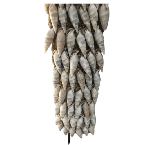 Ceremonial White Shell Necklace on Stand