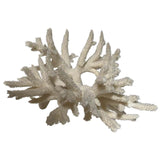 Natural Antler Coral